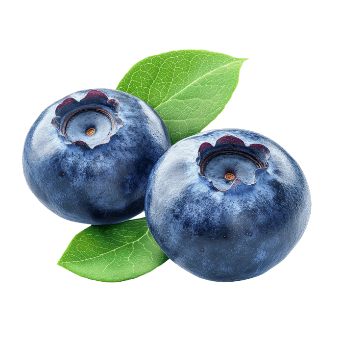 Fresh blueberries